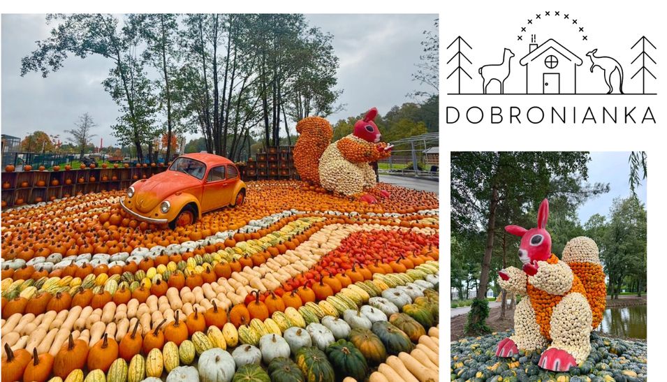 DOBRONIANKA od 1 października do 30 listopada 2026