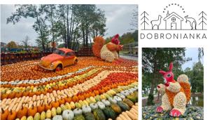 DOBRONIANKA od 1 października do 30 listopada 2026